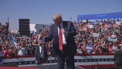 1000046237.gif