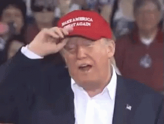 1000046303.gif
