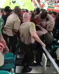 미국 공권력2.gif