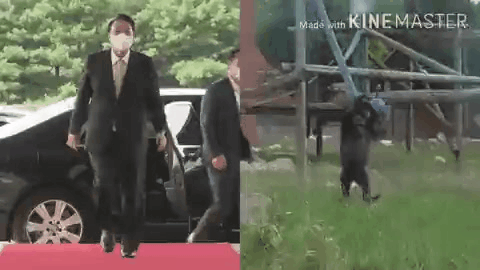 1df2044e8a38d5085270ea12447c115d_451667.gif