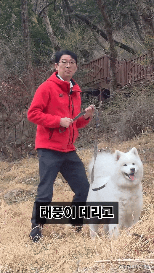 su751774496602_395525019.gif