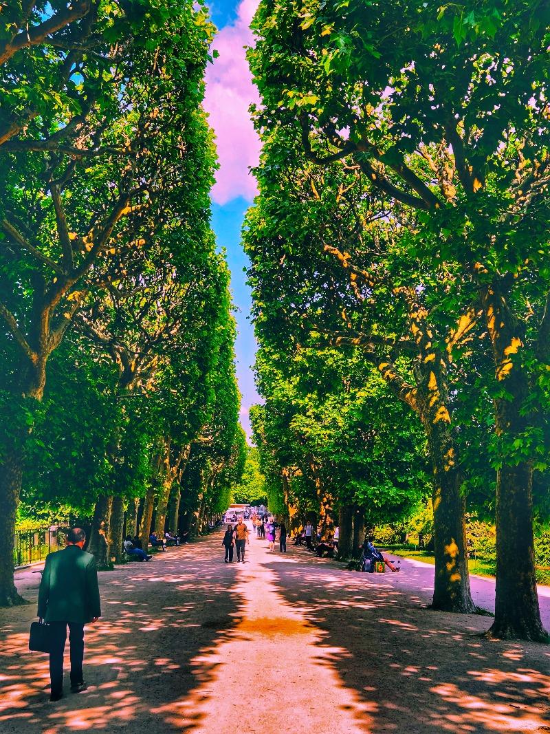 1000044064.jpg