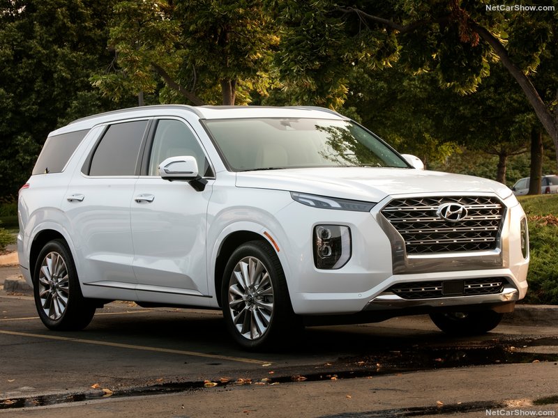 Hyundai-Palisade-2020-800-11.jpg