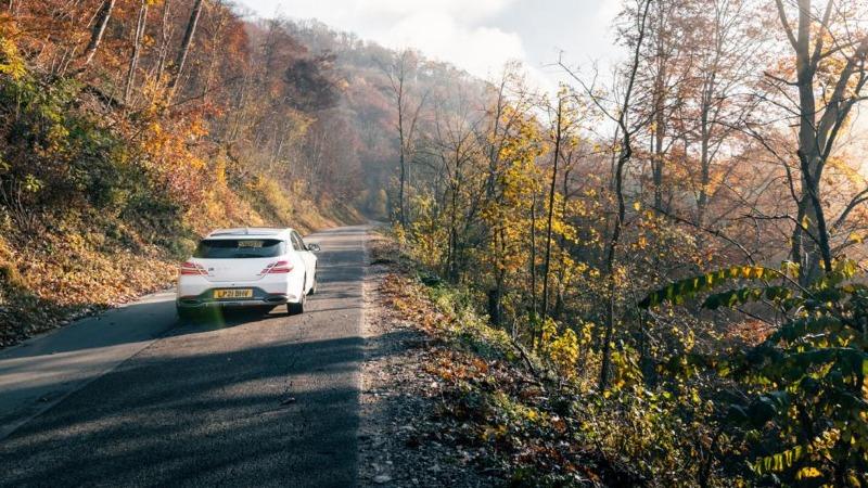 Genesis_G70_Shooting_Brake_dynamic_rear.jpg