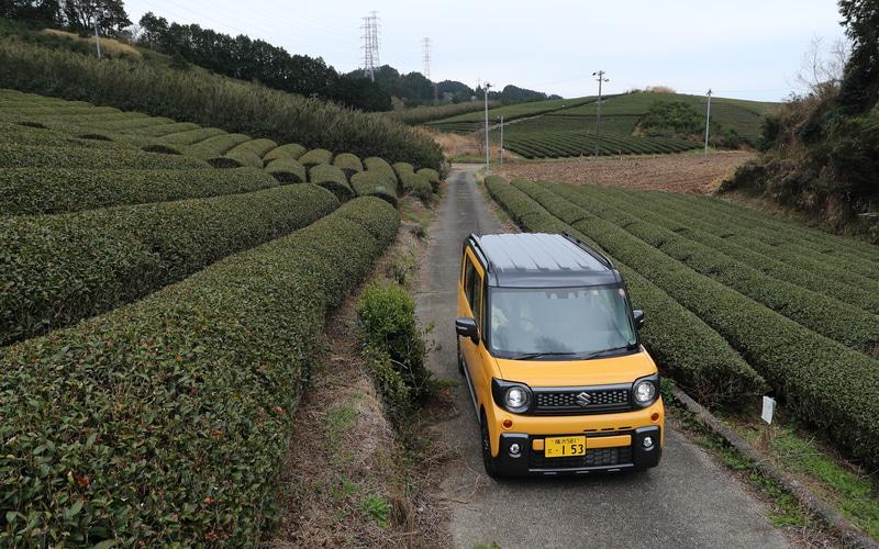 034_l (3).jpg