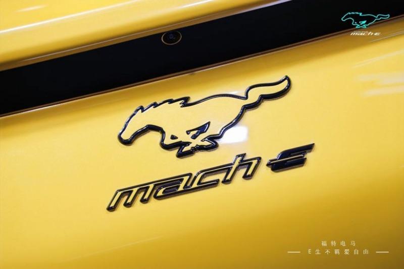 Ford-Mustang-Mach-E-7_1.jpg