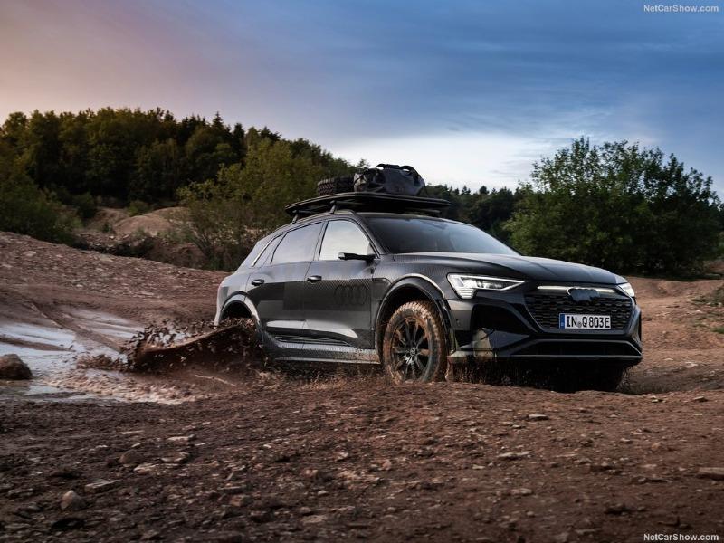 Audi-Q8_e-tron_Dakar_Edition-2024-1024-05.jpg