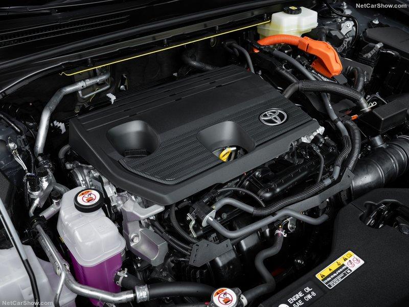 Toyota-Crown_Signia-2025-800-b4.jpg