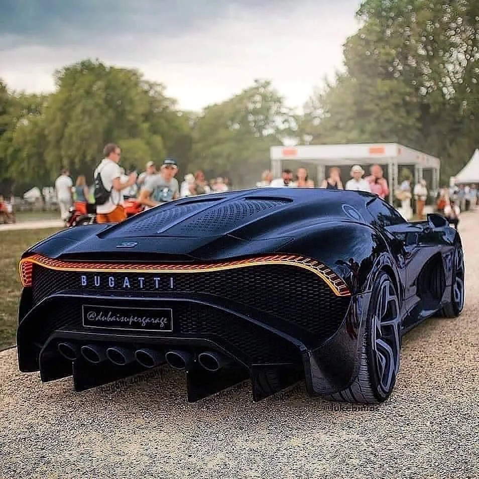 The-Bugatti-La-Voiture-Noire-has-the-nicest-rear-end-in-the-world_-change-my-mind..jpg