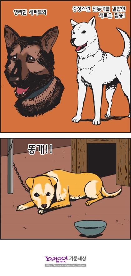 개똥이 이미지
