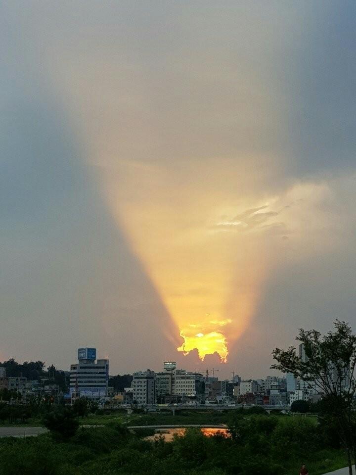 황금돼지 노을 ㅋ | 보배드림 베스트글