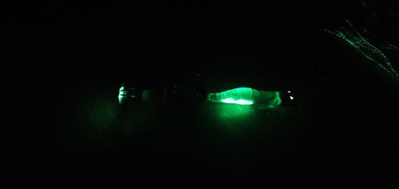 20200417_234229.jpg