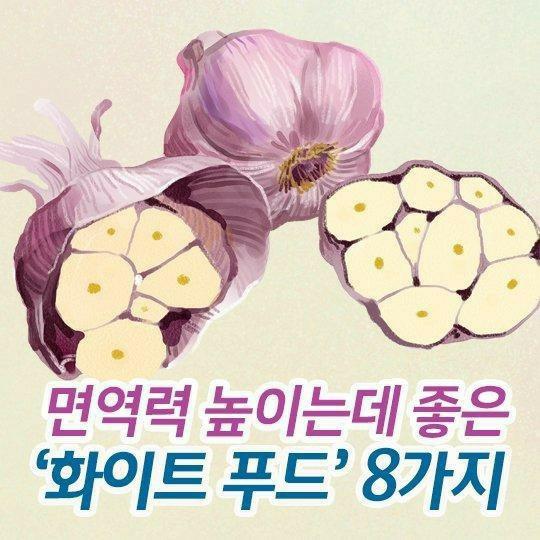 보배푸드 이미지