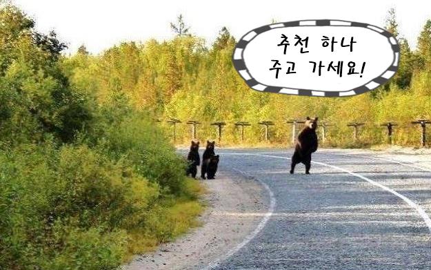 추천곰1.jpg