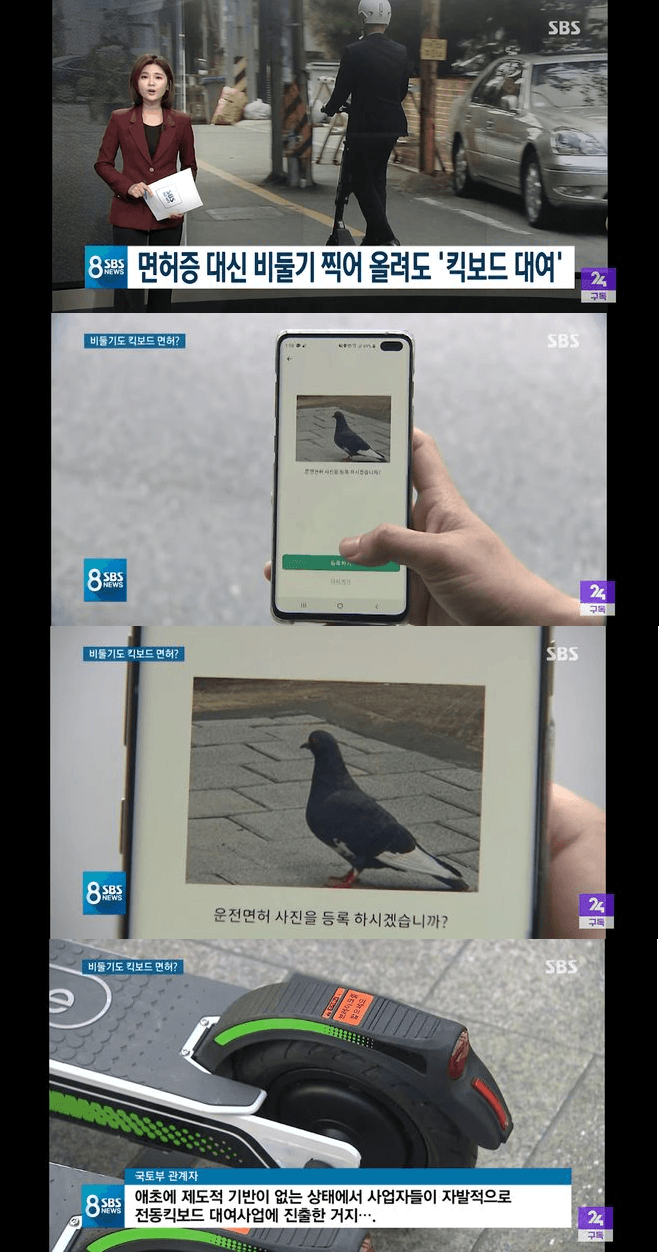 드림퀵보드 이미지