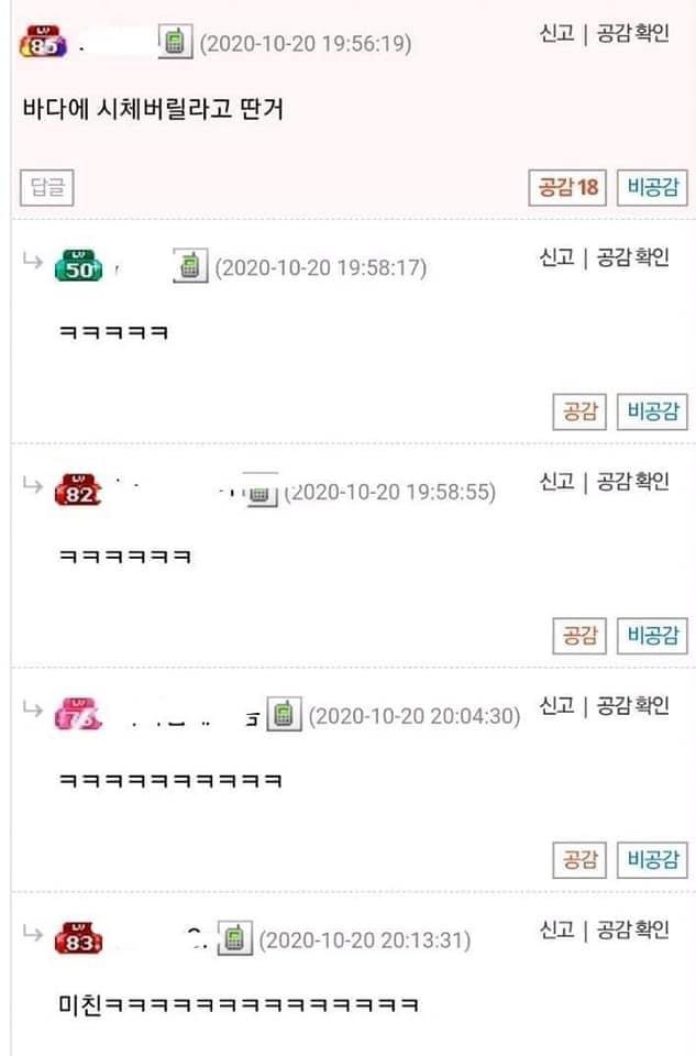 드림요트 이미지