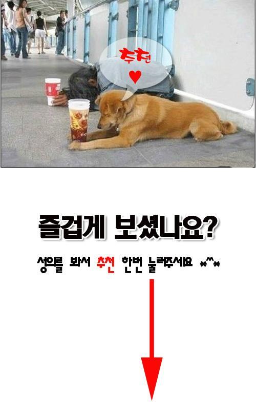 Ŭ¸¯ÇÏ½Ã¸é ¿øº» À̹ÌÁö¸¦ º¸½Ç ¼ö ÀÖ½À´Ï´Ù.