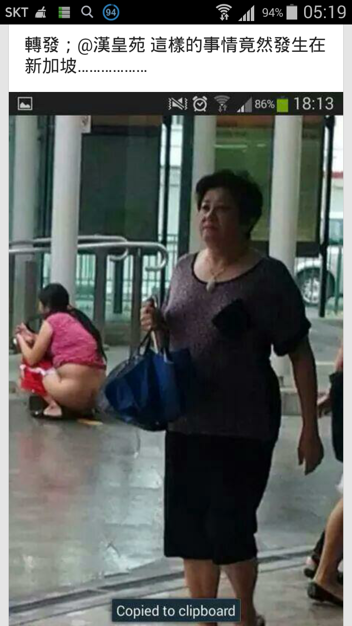 중국의 화장실과 노상방뇨 - 보배드림 유머게시판