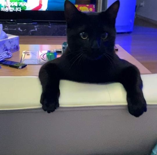 다홍기획 이미지