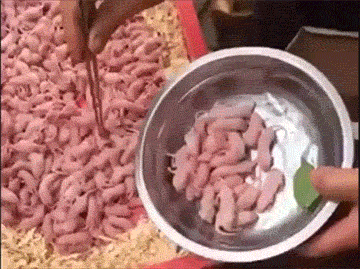 e52257e93d9b2274f727aa0d0ef4b833_875016.gif