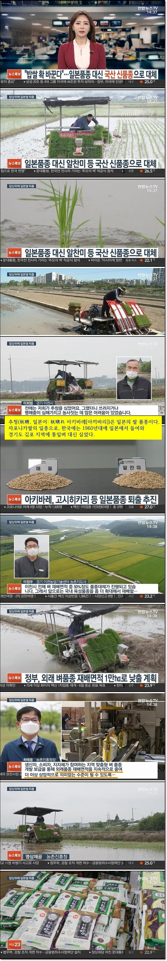 국산 우리쌀, 일본으로부터 독립(완).jpg