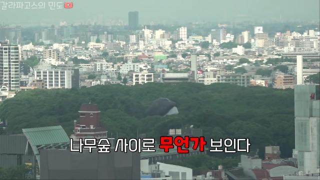 도쿄얼굴열기구 로고있음.mp4_20210719_152514.169.jpg