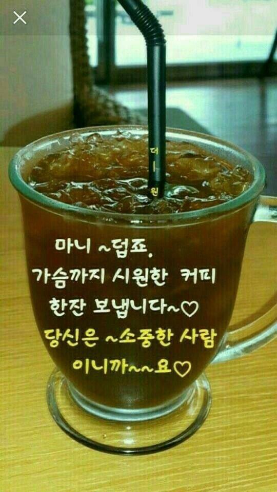 갈매기나라 이미지