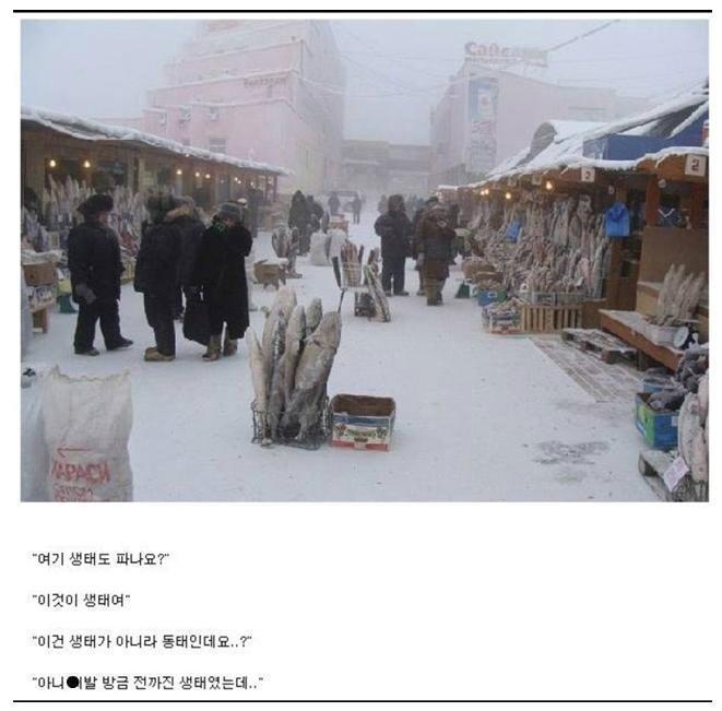 보배수산 이미지
