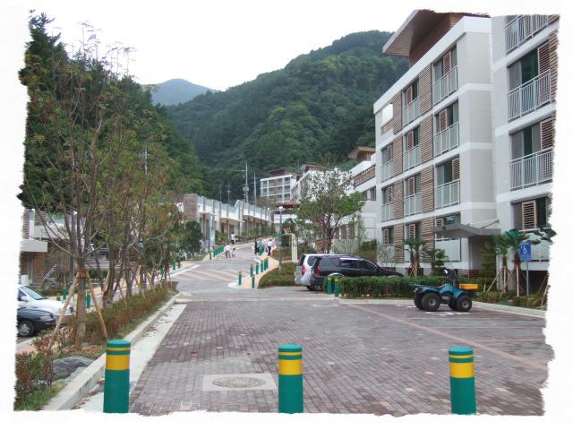 울릉도드림 이미지