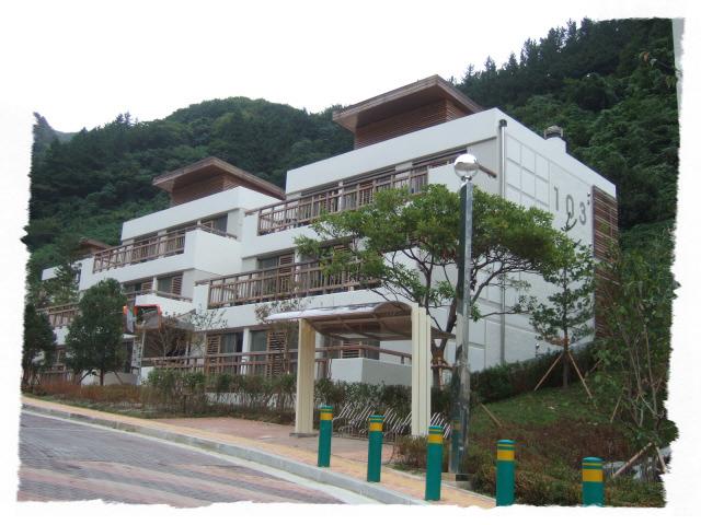울릉도드림 이미지