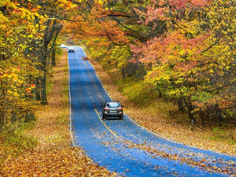 bigstock**halt-road-with-autumn-folia-71344102.jpg