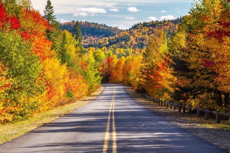 fall-foliage-road.jpg