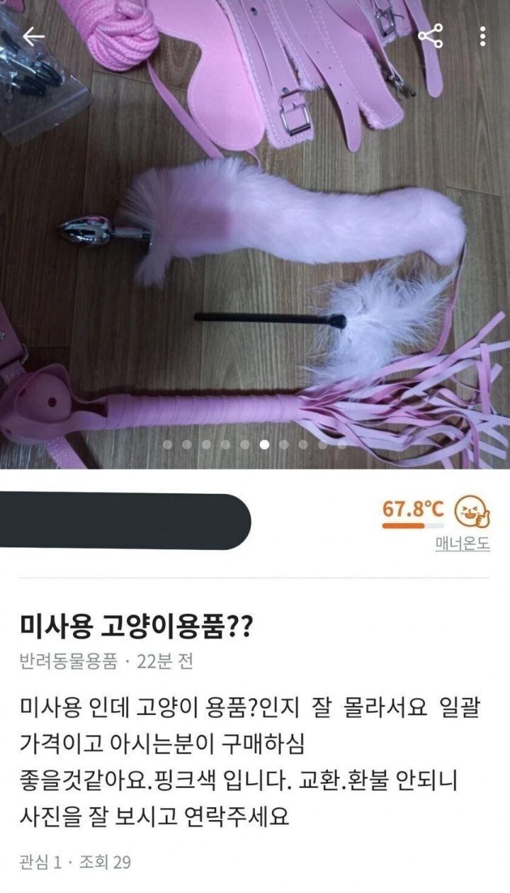 이니지아 이미지