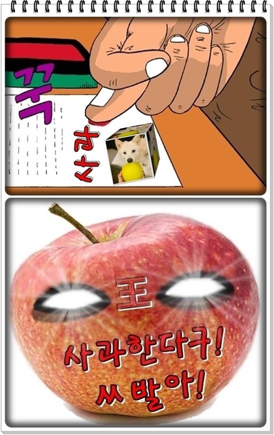 윤석열 전두환 찬양 발언 사과 좃(완).jpg