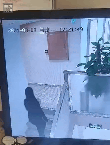 세이브드림 이미지