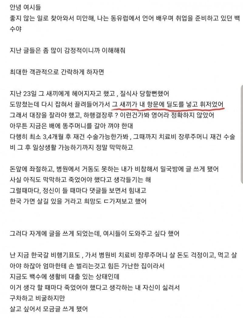 항문 딜도녀에 후원하는 여초 - 보배드림 유머게시판