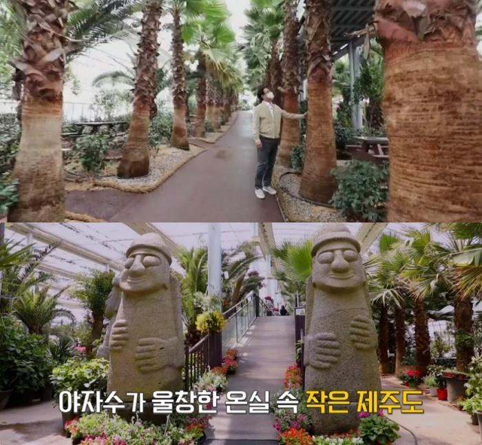 씨랜드 이미지