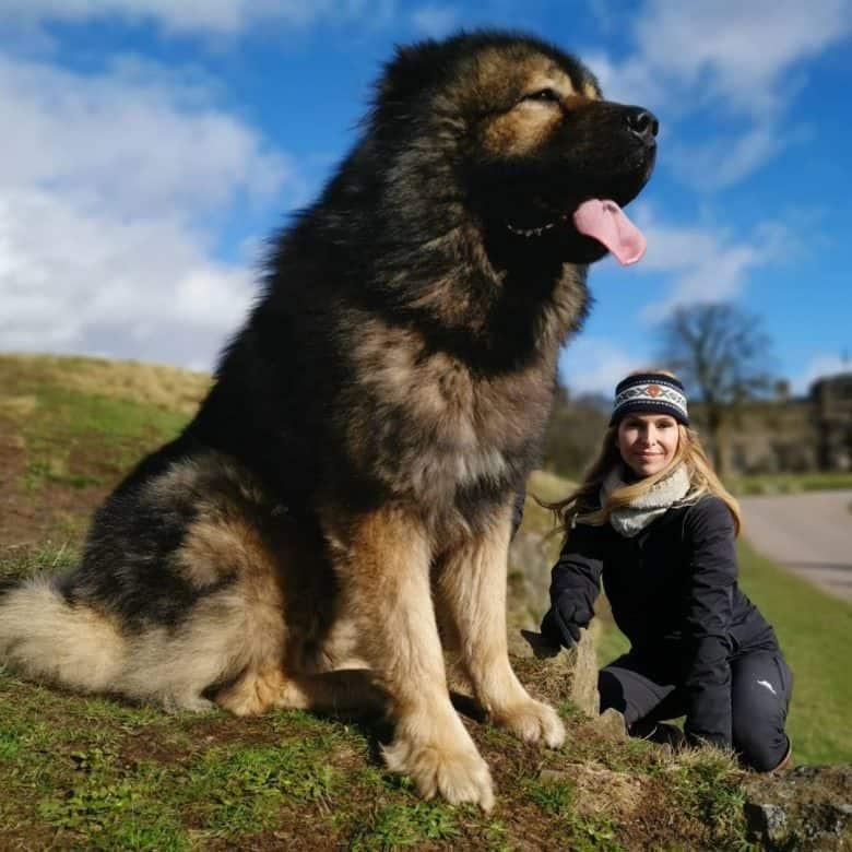 caucasian-mountain-dog-with-its-owner-780x780.jpg