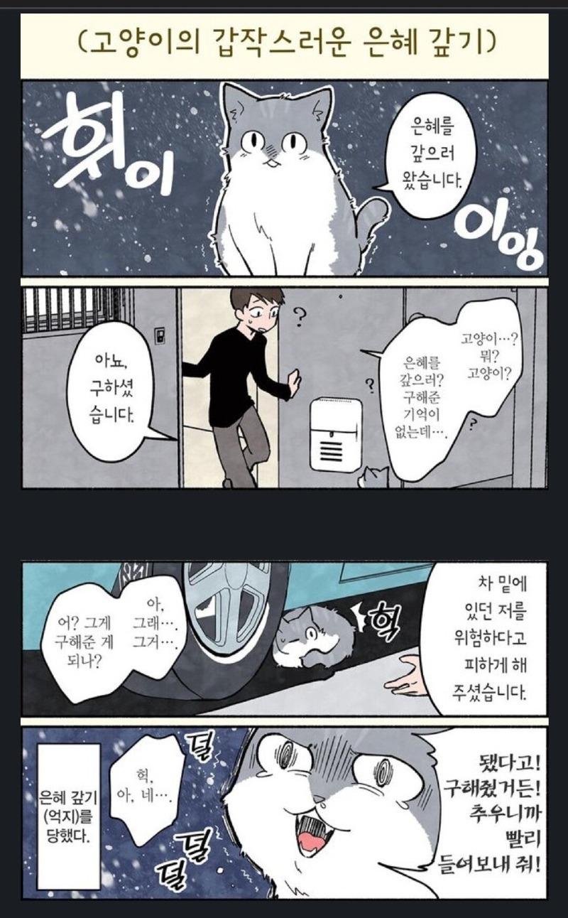 은혜자동차 이미지