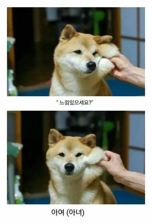 보배치과 이미지