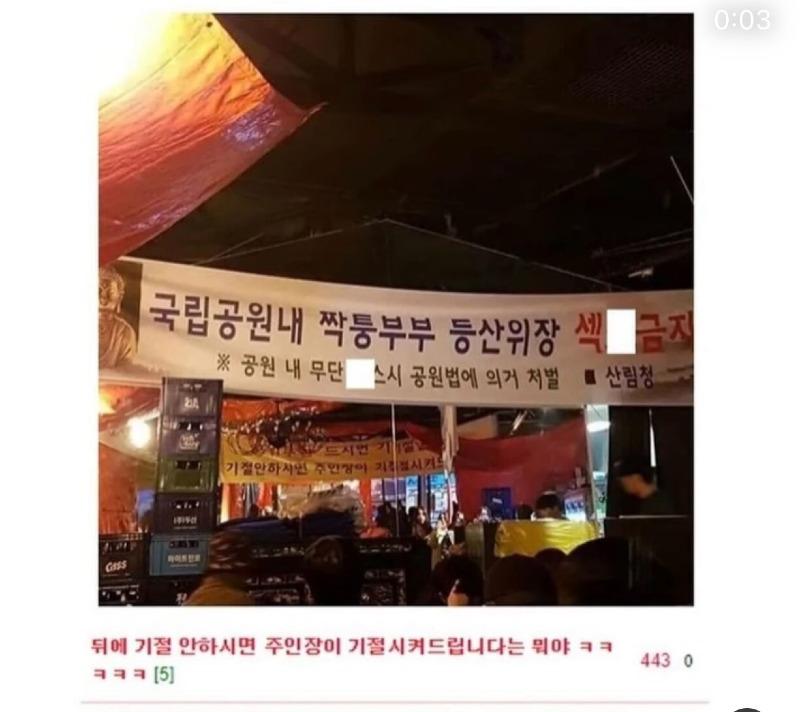 불륜 등산커플에 개빡친 산림청.jpg