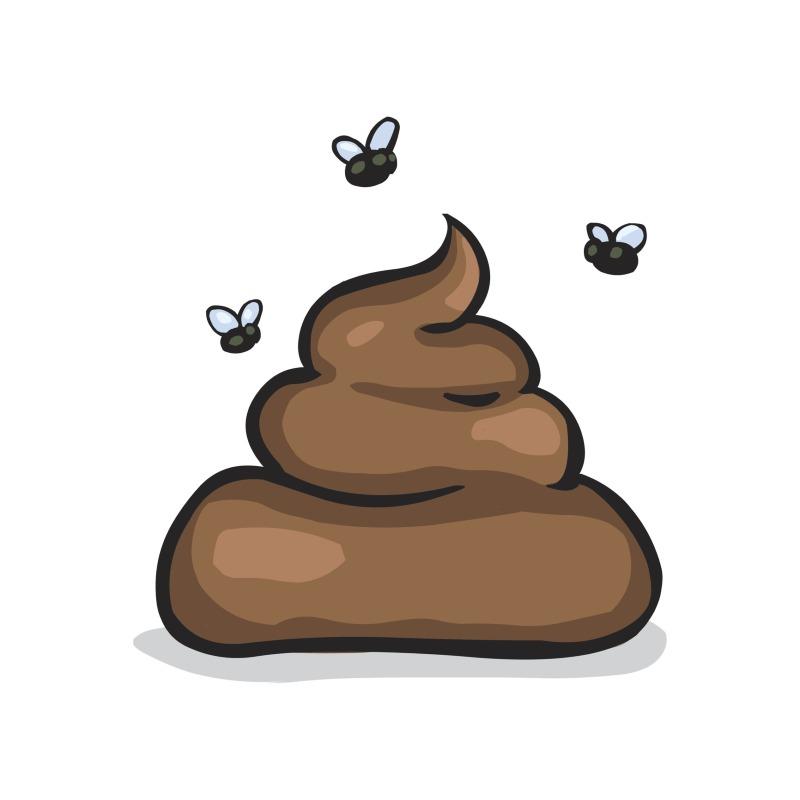 똥 이미지