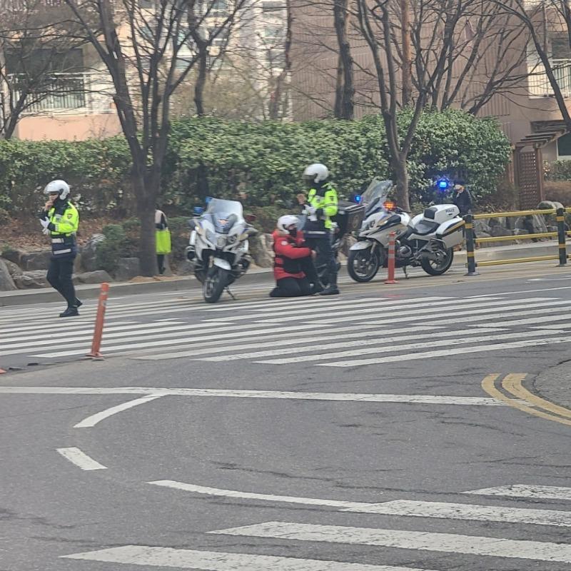 드시오 이미지