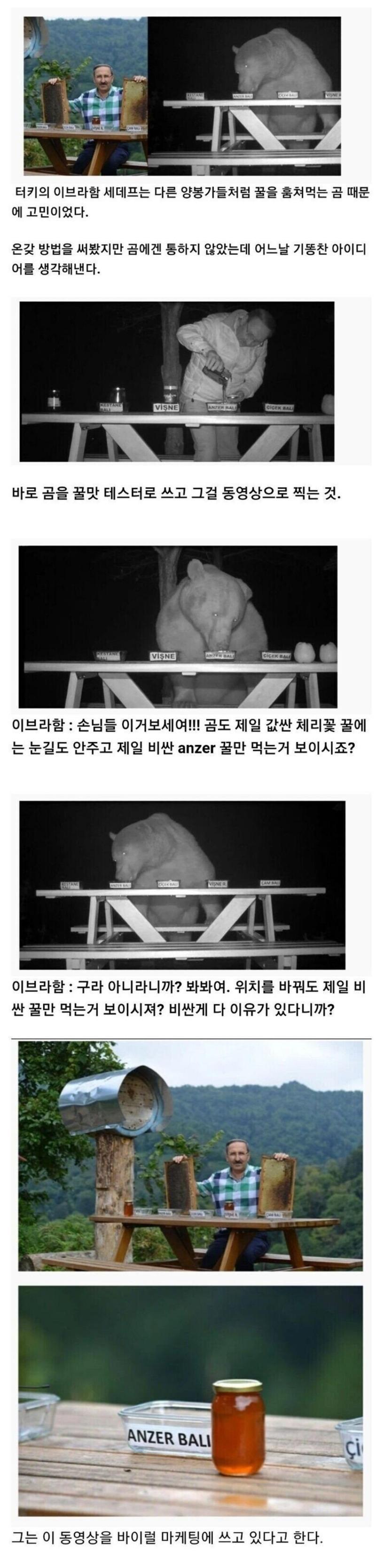 자꾸 꿀을 훔쳐먹으러 오는 곰.jpg