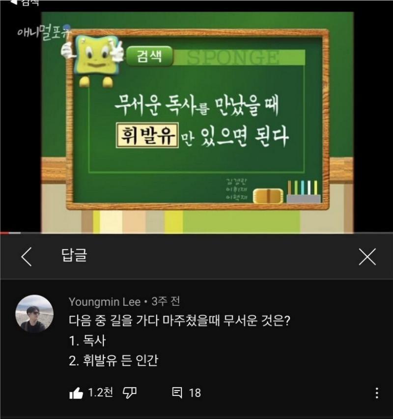 길에서 독사를 만났을 때 대처법.jpg