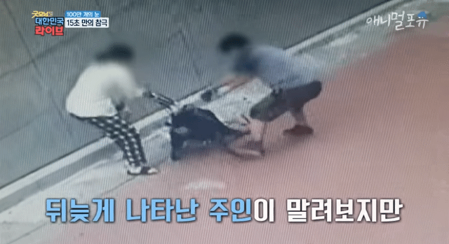 SmartSelect_20220521-012920_YouTube.gif