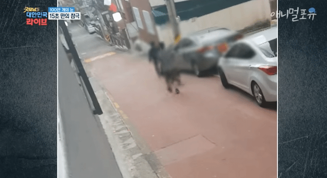 SmartSelect_20220521-013121_YouTube.gif