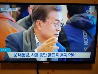 보배글로벌 이미지