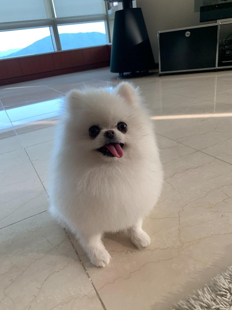 KakaoTalk_20220625_205510683_05.jpg