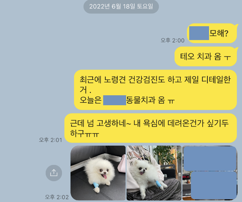 제목 없음.png